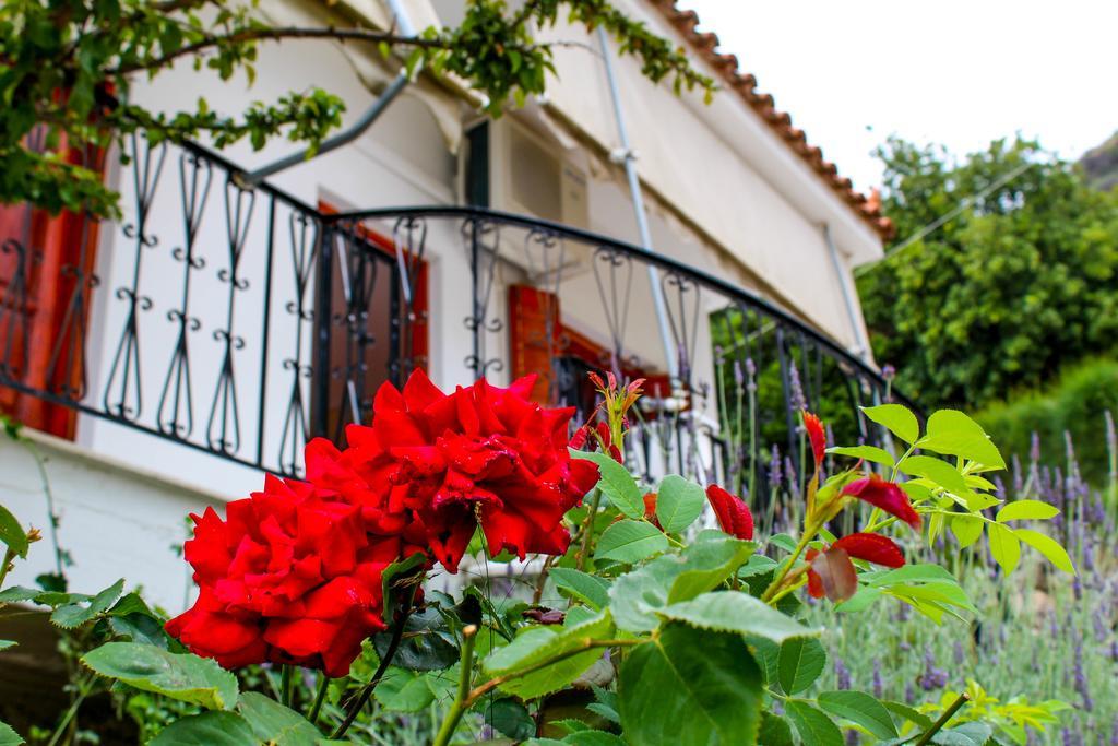 Guesthouse Lykourgos Mavrommátion المظهر الخارجي الصورة